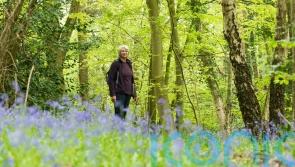 The top 6 benefits of walking for seniors