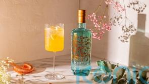 5 seasonal spirits and stylish serves to rustle up now