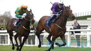 Guineas trial next for Arizona Blaze following comeback win