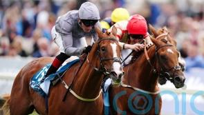 Burke duo head Lincoln betting after Qirat comes out