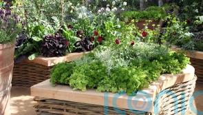What you can do with just a metre of outdoor space