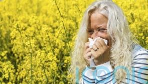 How to tell if it’s hay fever or a cold