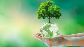 Sustainable upgrades for a greener home to salute World Earth Day
