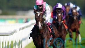 Juddmonte in no rush to firm up Cosmic Year target