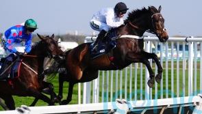 Constitution Hill &lsquo;fresh as paint&rsquo;, with sights set on Punchestown