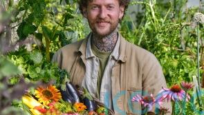 Why weeds are worth cultivating – and eating