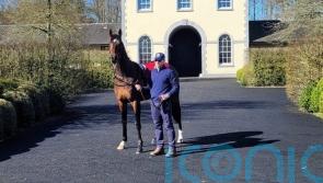 O’Brien keen to exorcise City Of Troy Guineas ghost