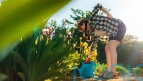How to protect your back while gardening this summer