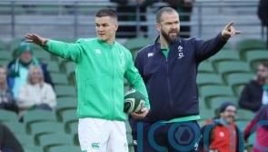 Johnny Sexton added to Andy Farrell&rsquo;s British and Irish Lions coaching staff