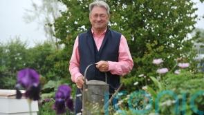 Garden guru Alan Titchmarsh: Whoever thought I’d be an influencer at my age?