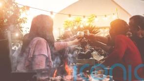 5 tasty reds to rev up barbecues and casual cookouts