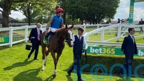 Damysus set to put Derby credentials on the line in Dante