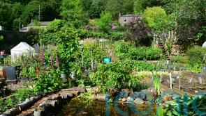 How to make your allotment look pretty
