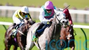 Field Of Gold and Twain among big guns still standing for Newmarket