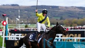 Marine Nationale and Fact To File all set for Punchestown showdown