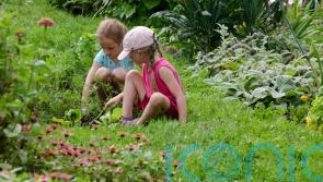 How to get children engaged in gardening