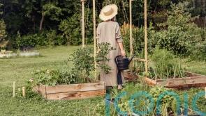 How to master ‘allotment chic’