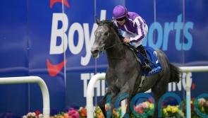 Puppet Master captains O’Brien’s Lingfield trials team