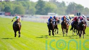 York Eyecatcher Bermuda Longtail can soar in future