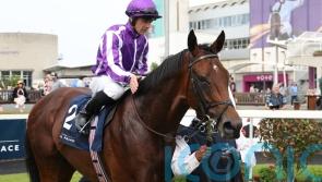 O’Brien keeping Derby options open