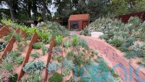 The biggest trends from RHS Chelsea Flower Show 2025