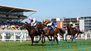 Teal relishing Royal Ascot rematch for Dancing Gemini