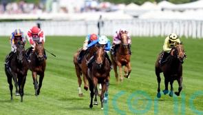 Rashabar team full of confidence for Irish Guineas challenge