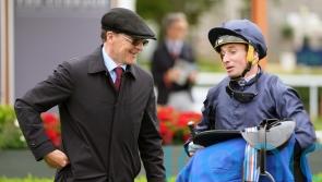Storm Boy headlines ‘very competitive’ Greenlands field