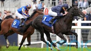 Brussels sprouts wings late on to land Curragh maiden
