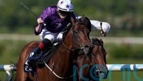 Bucanero Fuerte thriving since Naas return