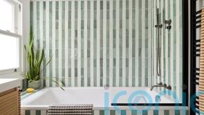 8 ways to freshen up your home through natural biophilic design
