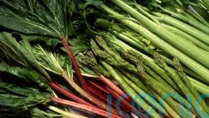 What’s in season in early summer? – and how to cook it