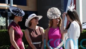 How to find the perfect fascinator for race day