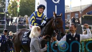 Trueshan looks like being denied Gold Cup chance again