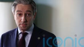 Irish Government ‘willing to consider helping further’ on Casement, Harris says