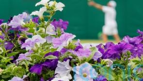 How to get the Wimbledon look in your garden