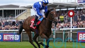 Falakeyah putting mile credentials to the test against Zarigana
