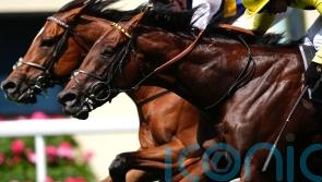 Champions Day seen as an ‘obvious’ target for Docklands