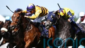 Frost At Dawn has Breeders’ Cup as big end-of-season target