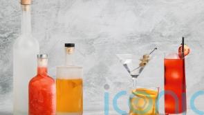Freezer cocktails: 3 recipes for the home bartender to rustle up