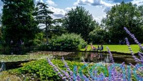 Family-friendly summer gardens to visit