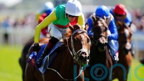 Sandown not in Chapple-Hyam’s plans for Kon Tiki