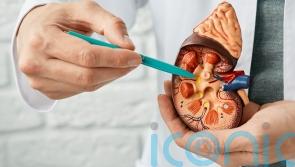 3 kidney risks that increase with age and ways to prevent them