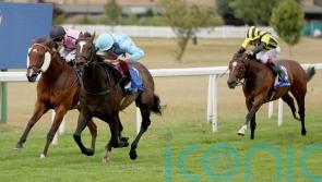 Goodwood and York beckon for She’s Quality