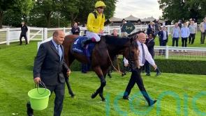 Walker on weather watch for Almaqam target