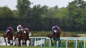 Meld Stakes next for Purview, says Weld