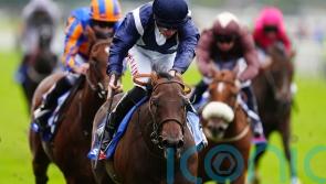 Celandine thriving ahead of Summer Stakes tilt