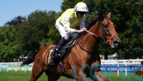 Orion’s Belt stars in Newmarket opener for Richard Hannon