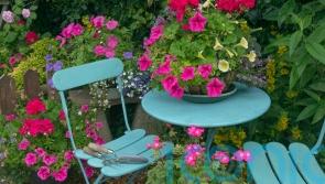 How to save your container plants when you go on holiday