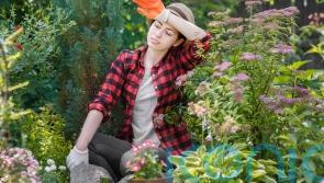 Time-saving tips for the busy gardener